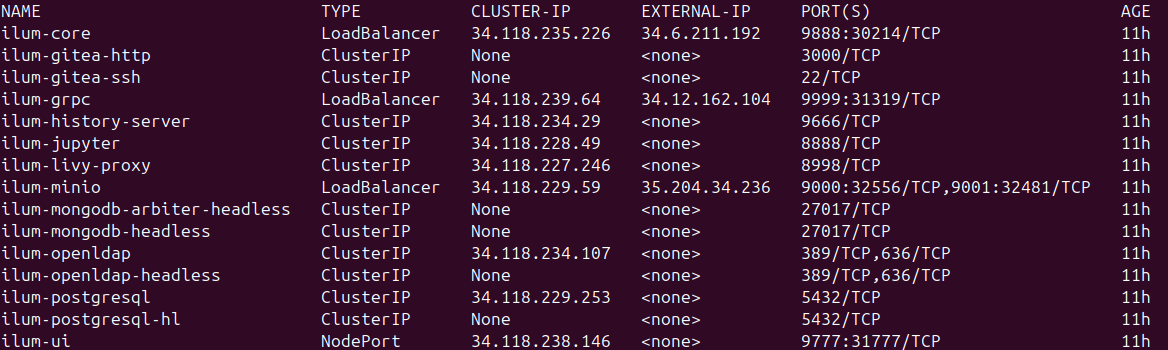 GKE LoadBalancer Service Configuration showing External IPs GKE LoadBalancer Service Configuration showing External IPs
